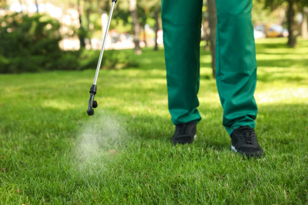 Wasp Removal Services in Cairo, NE