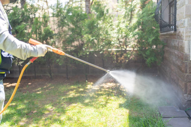 Pest Control for Restaurants in Cairo, NE